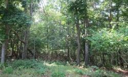 WebID 44295
8.4 acres of rolling woods. Sub-dividable in prime residential community.
17 Mountain Laurel Ln None
David Saland tel
