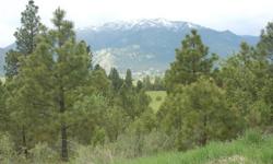 Great hunting and recreational acreage only 55 miles from Boise overlooking Garden Valley. Property is adjacent to public lands on 3 sides. Enjoy the breathtaking panoramic views and abundant wildlife. Deer, elk and even golden eagles have been spotted on