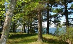 A must see! Ten Mile Lake, 3 plus acres w/368' of shoreline offering panoramic lake views, beautiful sunsets, fabulous location to build your lake home and live the lake life you've been dreaming of.Listing originally posted at http