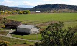 Quality home on 101 acres with irrigation, views and McElmo and Mudd Creek flowing through plus borders public land. Grass Hay fields which can be certified organic. Custom single level home with a wall of windows framing the picturesque setting and