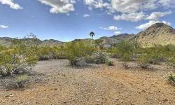 LOCATION, LOCATION, and VALUE! VERY RARE OPPORTUNITY to attain 3.6 ACRES of PRISTINE (having its original purity, uncorrupted or unsullied) Mummy Mountain Park LAND. VERY USABLE, FLAT TOPOGRAPHY with almost NO impact from natural washes. LOT has existing
