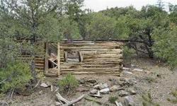 Make this 160 acre parcle your permanent home or cabin site. This off the grid" parcel is but a mere 6+ miles east of Salida and is very private and secluded. Borders BLM. Potential for dividing into two or four tracts. Tree cover is Pinon Pine, Juniper,