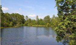Just what you are looking for-your very own private pond! The pond measures approximately 1.8 acres, with approximately 1400 feet along the waters edge, both calculated from the aerial view on the Property Appraiser's web site. This is a beautifully