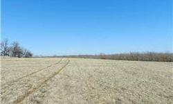 160 acres in Creek County with a mixture of open pasture and trees. Priced to sell!
Listing originally posted at http