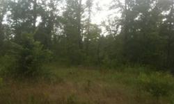 RIVER BORDERS FALLING CREEK. GORGEOUS PROPERTY. BANK OWNED. POWER AND DRILLED WELL ON PROPERTY. PARTIAL STRUCTURE STARTED. CONTACT FOR INFO. BRING OFFERS!Listing originally posted at http