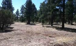 Selling off 10 acres of raw land in Williams, AZ .. Surrounded by State Land ... Owner will carry back the note with 10% down ... (CALL for details) ... Call for complete directions to view this land investment op ... ### AZ Dezert Properties Real Estate
