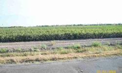 This property is broken up to about 4 different pieces. Hard to tell all of each description. Good farmland-Produces Good Crops.Listing originally posted at http