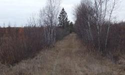 Nice and private 200 acres south of williams. Mixture of trees and field, with approx. 1800 feet of Winter Road River running through property. Great for huntingListing originally posted at http