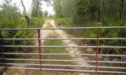 A hunter's paradise. Over 143 acres joins state wildlife management just off the Altamaha River. An abundance of wildlife--deer, turkey and hogs. Great for the weekend hunters or would be great for corporate entertaining. Priced to sell. Call listing