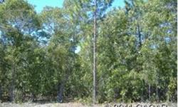 MELROSE LANDING ACREAGE-5 Heavily wooded acres with lots of privacy. Variety of oaks and pines. This is the lowest priced 5 acres in the area! Access to beautiful Cue Lake, picnic area, and the paved Airstrip is available through membership in the