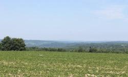 NEW YORK FARMLAND FOR SALE ----- Quality farmland with a view! This acreage consists of rich, fertile farmland, hedgerows, and a small year around creek. Perfect for homestead or full-blown farm. Along a quiet year around road with utilities available.