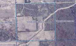 40 ACRES - Partially wooded 40 acres in nice location east of Angola. Appealing building site for your dream home or hunting ground. TALK TO THE TODD STOCK TEAM FOR DETAILS!Listing originally posted at http