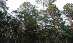 Very nice 2.65 acre site with beautiful large pine trees and oaks. This particular site had minimal burn from the fire and it is limited to the rear of the property. Prior home slab demolished, but existing utilities should be checked out by buyer.