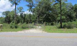 Nice fenced lot on paved road. Previously had a mobile home on lot, so septic tank, water and electricity have been installed. Convenient and quick location just a short ways outside of Havana. Owner is also selling adjacent lot with doublewide (MLS