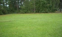 Approx. 1.07 acre lot located in quiet modular/mobile home subdivision with wooded area showing as front view with cleared land in back. A cleared driveway leads to lot from Maria Ct. and seller hopes to have rest of driveway cleared to lead to back of