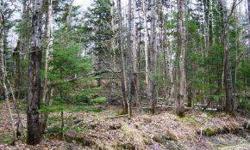 5.8 acres of wooded privacy with direct snowmobile trail access. This property would be a hunter's delight! Come build your camp on this secluded lot surrounded by wildlife. Electric nearby.