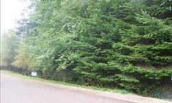 At $20,000, this is not only Lakeside's lowest priced lot, but it is in its most upscale neighborhood. A level building site on .73 sloped acre. Secluded from street by trees and slope. Utilities available at street.Listing originally posted at http