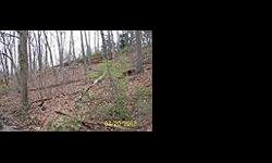 2.25 Acres - woodland, very steep from front to back, Possible to build on.Listing originally posted at http