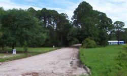 Two Nice Lots; one fronts on Alapaha; Lot behind fronts on Chipola. Very level lots, adjoining a House on 3 Lots. MLS # 226015. Great Location! Turn left past My Way Seafood.
Listing originally posted at http