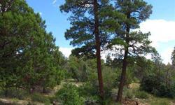 El Morro Ranches- Tall old growth ponderosa, pinon and alligator junipers are dotted all over this parcel and some colorful oak. It backs up to state land offering more area to hike in. Wildflowers abound in the summer and there are some small open