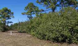 This lot is perfect for you to build your dream home on. This beautiful lot has a very private rear yard. Also close to Beaches, Boating , Golfing and Shopping.