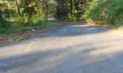 nice wooded lot in established subivision. This lot already has water, septic tank and power with meter installed. There is also a blacktop circle drive halfway up the lot and a roughed in driveway to upper portion of lot where owners have leveled out a