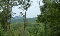 Nice wooded property in Whippoorwill Walk which features underground utilities, community water, and convenient location. This development offers some really great long range mountain views. Acreage includes Lots 1,9,10,18,19, and a 5.5 acre piece. Lot