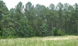 39.83 Acres
Loaded with mature pines
Located on First Creek Rd. Just off of Asaville Church Rd. in Anderson County.
Close to Lake Secession.
Quiet and Peaceful with lots of wildlife roaming around.
School District