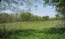 Cattle grazing, hunting, or perfect off-grid homesite!