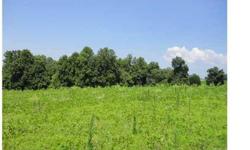 Terrific place to build a mini farm, 37+/- acres in western lincoln county.