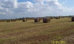 36 ACRES OF PASTURE LAND AT THE PRESENT USED FOR HAY PRODUCTION. INCLUDES POND, CLEARED, FENCED AND CROSS FENCED. LAND IS DRY WITH RICH SOIL. ALSO, AVAILABLE ENTIRE PROPERTY OF 121 ACRES TOTAL WITH A NICE HOME, CLOSE TO TOWN. OWNER WILL FINANCE WITH HALF
