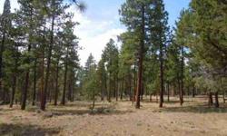 This gently sloping homesite has southern exposure with native grasses and a neatly trimmed pine and juniper canopy. There are peek a boo views of Broken Top and South Sister. Beautiful setting in the ponderosa pines with character and charm and the