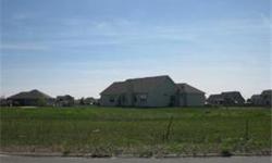 Farmstone at Diamond is located less than 15 minutes south of I-80 just west of I-55. Farmstone is a well established subdivision with great school districts and low property taxes. Owner will sell lots outright or build you your custom home. Additional