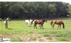 Over 8 acres with a pond, well and pasture with existing creek. Horses are permitted. Barn with Electricity porch. Public water is availalbe but well is on site. Ready to start building your dream home in a sought after subdivision.
Bedrooms: 0
Full