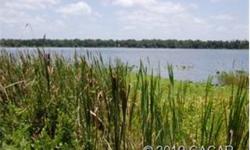 Lake Jeffords Acreage - Almost 8 acres right on the lake. This beautiful wooded parcel offers lots of privacy but is yet just 20 minutes from Shands and U of F campus. The 160 acre private spring fed lake offers great fishing with plenty of room for