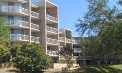 All the polish and panache of Manhattan high rise living, all right here in the Texas Hill Country. Tree top views of the great Guadalupe River abound one, wrapped inside, this stylish 1 bedroom 2 full bath contemporary mid-rise has it all. The finest