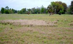 23+/- acres in Arcadia, FL with 1,300+/- feet frontage on US Highway 17. The property is currently zoned A-10 and used for pastureland but has potential for industrial/commercial use with a zoning change. Located Â½ mile south of the Arcadia Livestock