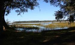 Deep water lot on Capers Creek with grand old oak trees and mature azaleas ready for your low country dream. Previous house has been removed from 2.4 acre log, electric on site, existing dock and easy access to intracoastal waterway. Existing electric