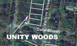 Fantastic opportunity to purchase a new home on Amelia Island at a very affordable price. Unity Woods is a fee simple development that is currently pre-construction.REFUNDABLE lot reservations are being taken until final development and construction