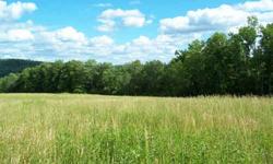 NEW YORK COUNTRY ACREAGE FOR SALE ----- Views! Views! Views! Are you looking for that perfect place to build your country retreat? Do you have horses or are you thinking about starting a small farmstead? Then you should come and have a look at this