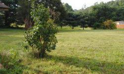 Here's a great building lot within minutes of Abingdon off of Wyndale Road in between Bristol and Abingdon. Country views, flat lot. Go get your builder and scoop this one up.Listing originally posted at http