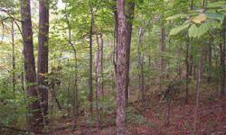 WOODED PROPERTY IN QUIET AREA OF PEGRAM*2 SEPARATE 75 FT ROAD FRONTAGES ON HANNAH FORD ON EITHER SIDE OF THE CHURCH* LEVEL AREA TO REAR OF CHURCH PARKING LOT IS PART OF THIS PROPERTY* SLOPED TO HILLY TERRAIN WITH NICE TIMBER I-40 WEST TO EXIT 192 (MC