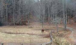20 +/- Acres of Pasture and Wooded Settings with creek and springs flowing through property. Portions of acreage is fenced for horses. Only 7 +/- miles from town. Property can be subdivided into 10 acre tracts. A must see.Listing originally posted at http