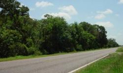 Large Wooded Track of Land. Lots of Road Frontage on FM 2611 in the Churchill Area. In the Pictures you can see what it Could look Like based on the View Across the Road. Could be Developed into Home sites, A Mini Ranch, RV Park. Endless Possibilities. No