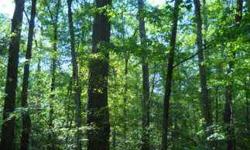 The Wreyford Tract of Columbia County, AR is a beautiful +/- 94 tract of mature pine and hardwood with excellent access from US Highway 371 located 4 miles north of Waldo, Arkansas. A great tract for the timberland investor with the benefit excellent deer