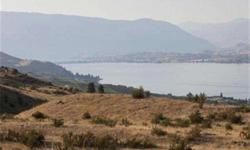 It's all about the views! This 25 acre raw land offering has unlimited views of the surrounding mountain range and the inviting waters of Lake Chelan. This parcel offers a large building area that could accommodate creating any type of home to fit your