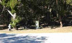 Cul de sac lot in a gated neighborhood in Barton Creek. One of the last remaining! Great flat build site! Near the back of the neighborhood, so it offers great privacy. Heavily treed. Gated neighborhood. Property Owners Membership to Barton Creek Country