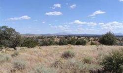 Comparable properties nearby are selling for $2000-$3000 per acre. Buy APN # 502-31-057A at a significant discount. Motivated seller, bring all offers! Come and play or come and stay! Just far enough from the highway to avoid all light and noise but far