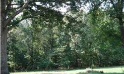 Beautiful level lot to build your dream home! Live in a rural/natural setting close to town. Lot has open area where a house once stood, and private woods in the back section, which is adjacent to conservation land owned by TJ Foundation. Only 10 minutes
