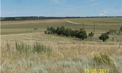 Welcome to the Country! This lot (and two other contiguous lots) have the best of both worlds with easy commute to Springs or Denver and 45+ acres to build your dream! No covenants in place, short distance to paved roads/Douglas County Line! Sweeping
